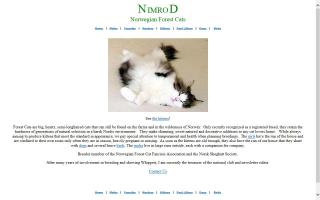 Nimrod Norwegian Forest Cats