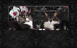 Emilitacoon * LT