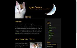 Aytasi Cattery