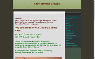 Xocol Havana Browns