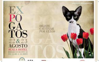 Asociación Felina Argentina