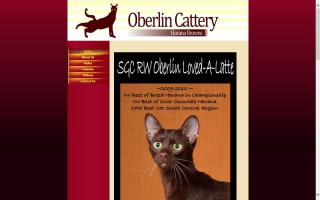 Oberlin Cattery