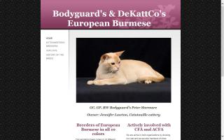 Bodyguard's & DeKattCo's European Burmese