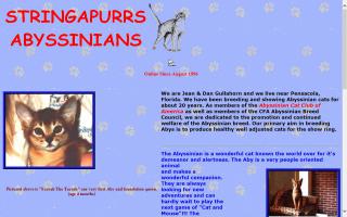 Stringapurrs Abyssinians