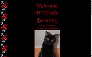 af Thors Cattery