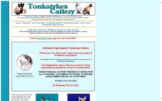 Tonkatykes Cattery