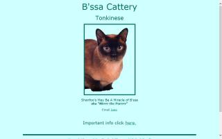 B'ssa Cattery