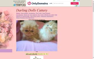 Darling Dolls Cattery