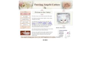 Purring Angels Cattery