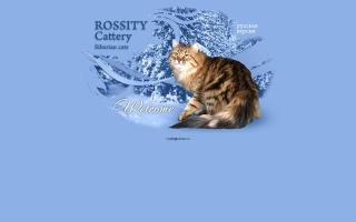 Rossity Cattery