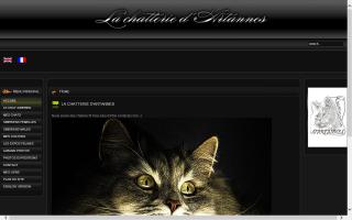 Artannes' Cattery / Chatterie d'Artannes