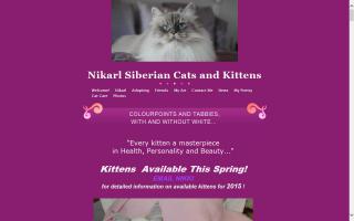 Nikarl Siberian Cats / Cherished Images Portraits