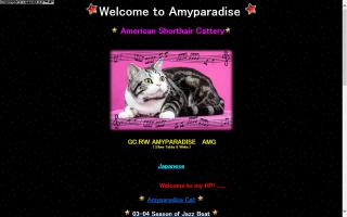 Amyparadise