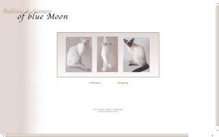 Blue Moon Cattery
