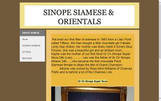 Sinope Siamese