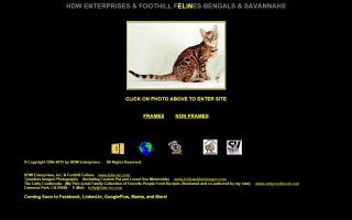 Foothill Felines / HDW Enterprises