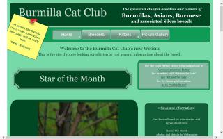 Burmilla Cat Club, The - BCC