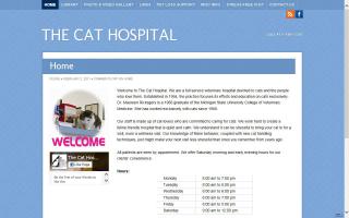 Cat Hospital, The