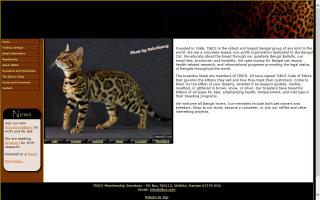 The International Bengal Cat Society - TIBCS