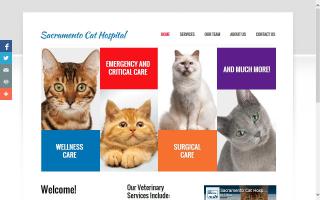 Sacramento Cat Hospital