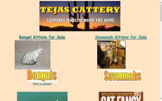 Tejas Cattery