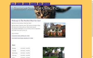 Summer Street Cat Clinic, P.C.