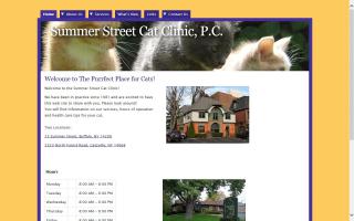 Summer Street Cat Clinic, P.C.