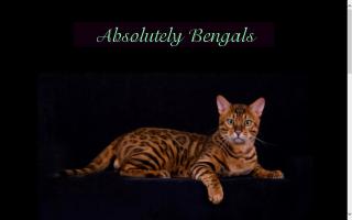 Absolutely Bengals