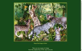 Enchanted Tails Bengal Cats