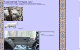 Lockesnest Persian Cats