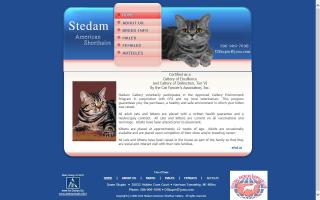 Stedam American Shorthairs