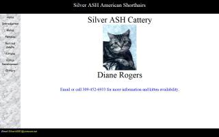 Silver ASH Cattery