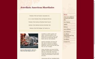 Jewelkatz American Shorthairs