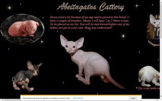 Abeitagatos Sphynx Cattery