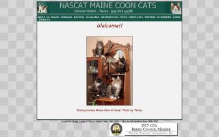 Nascat Maine Coons