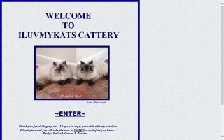 ILUVMYKATS Cattery