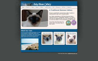 Baby Blues Cattery