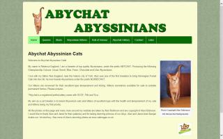 Abychat Abyssinians