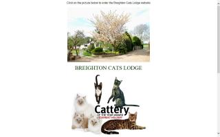 Breighton Cats Lodge