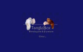 Tanglebox