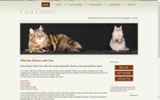 Cica Cattery