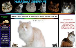 Yurashka Siberians