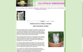 LillyPalm Siberians
