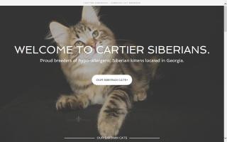 Cartier Siberians