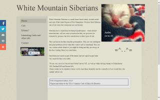 White Mountain Siberians