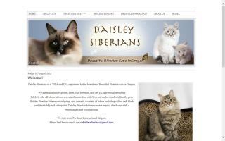 Daisley Siberians