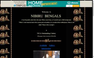 Nibiru Bengals