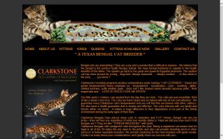 Clarkstone Bengal Cattery