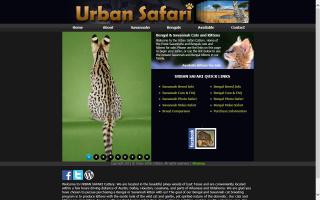 Urban Safari Cattery