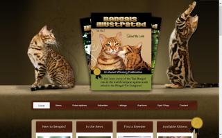 International Bengal Cat Connection, The - TIBCC